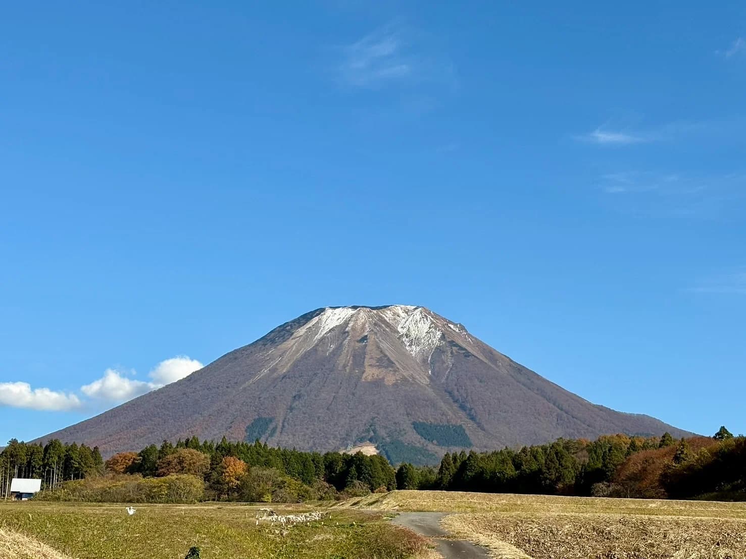 冠雪した大山と麓の農地